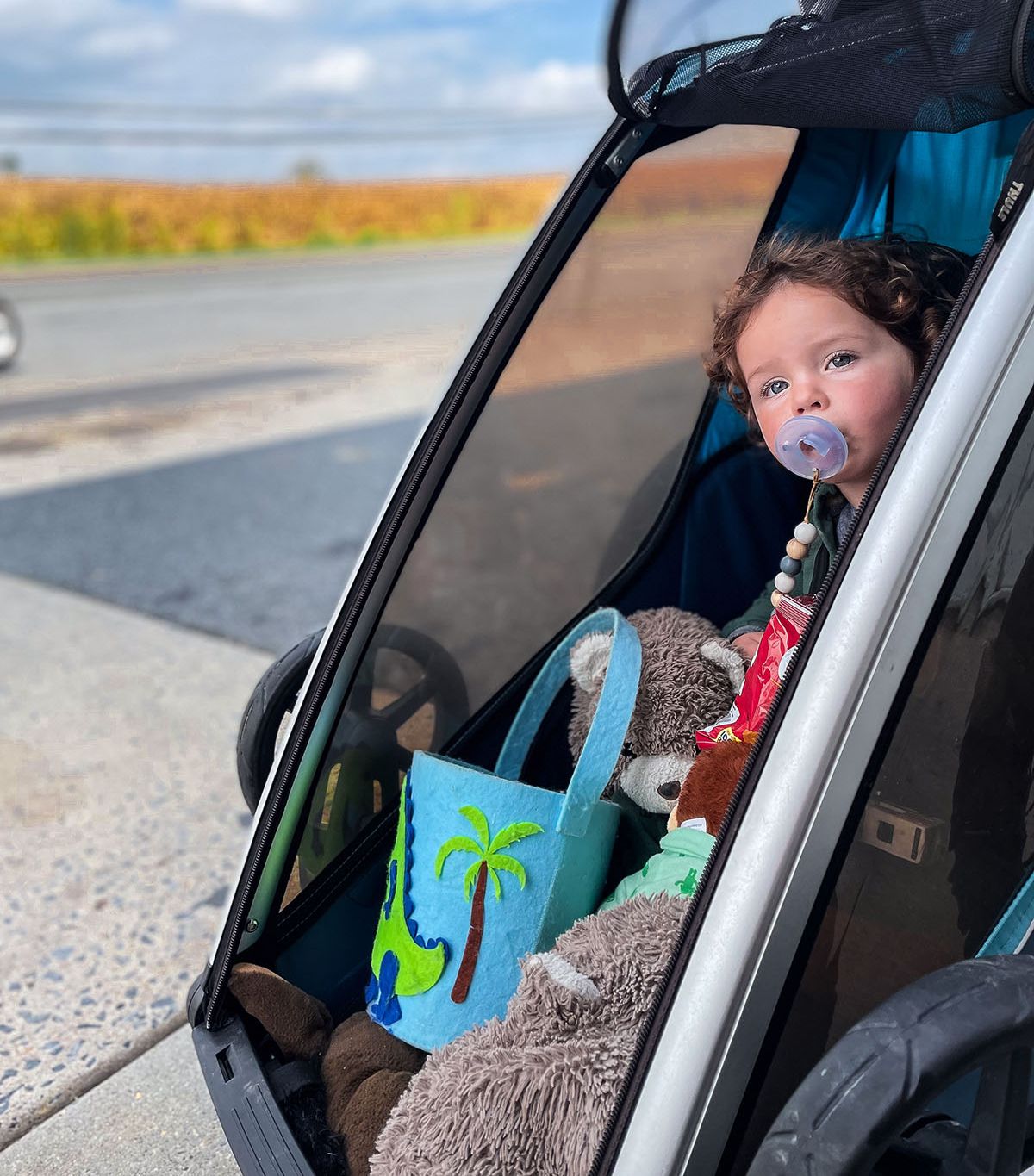 a boy riding in a thule chariot trailer